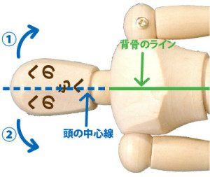 横向き寝をした時の人間のいい寝姿勢をイメージ図解。頭の中心線と背骨のラインが一直線に