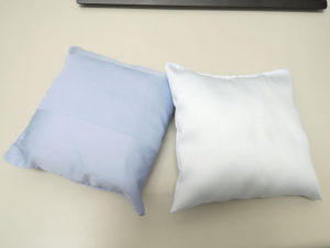 cushion2