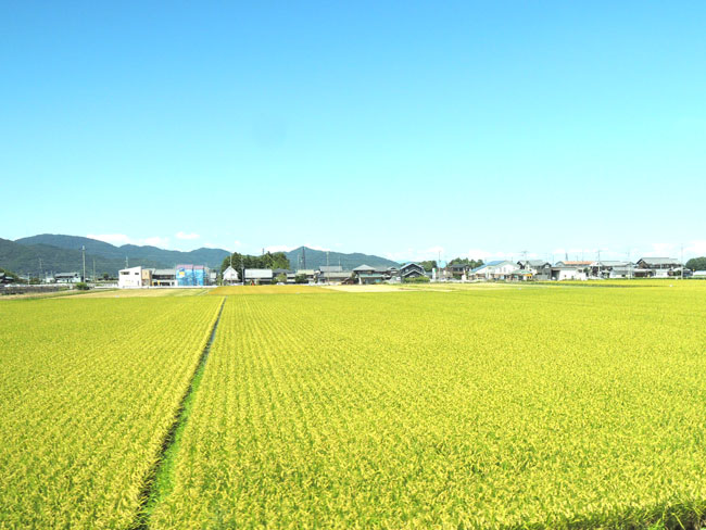 耳の不自由なお客様の来店｜オーダー枕の感想