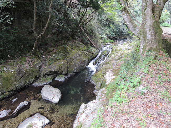 島根県からオーダー枕のお客さま