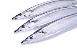 sanma