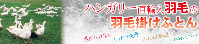 広島の木村寝具店、ハンガリーから直輸入した羽毛で作った羽毛布団のバナーです