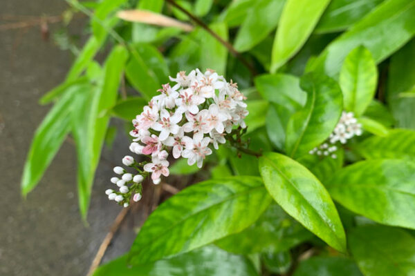 肌掛け布団（夏用の掛け布団）の役割って？どれを選べばいいの？