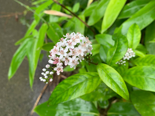 肌掛け布団（夏用の掛け布団）の役割って？どれを選べばいいの？